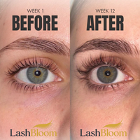 LashBloom Serum Pro